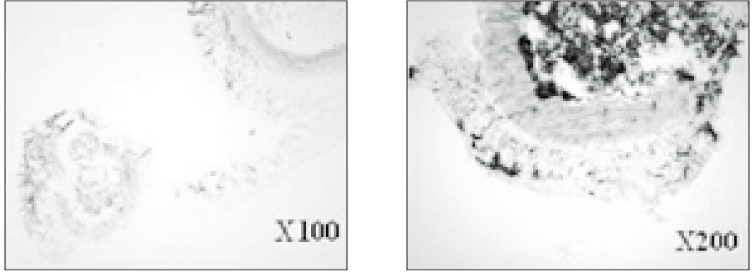 jkacd-31-398-g006.jpg
