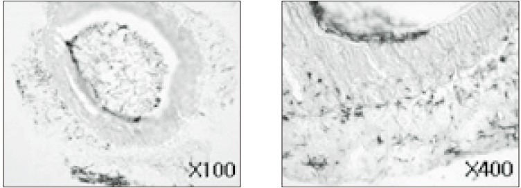 jkacd-31-398-g007.jpg