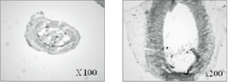 jkacd-31-398-g010.jpg