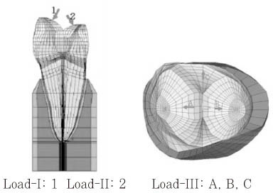 jkacd-31-427-g001.jpg