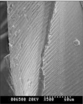 jkacd-32-130-g002.jpg