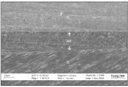 jkacd-32-208-g009.jpg