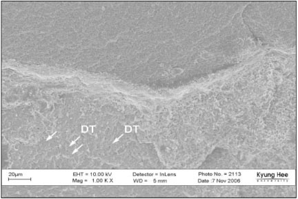 jkacd-32-343-g013.jpg