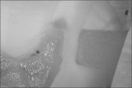 jkacd-32-469-g001.jpg