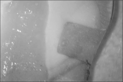 jkacd-32-469-g002.jpg