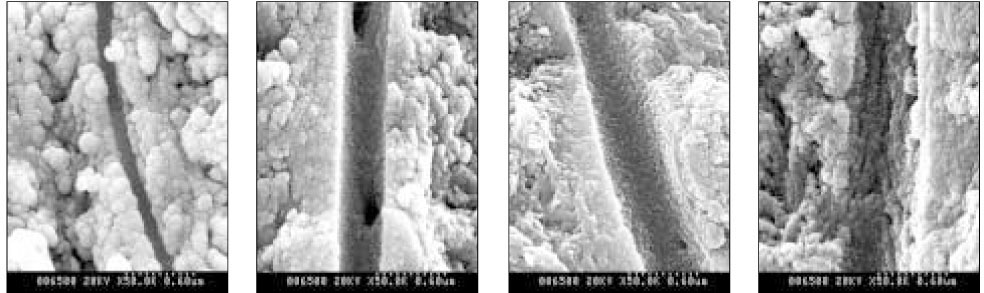 jkacd-32-47-g007.jpg