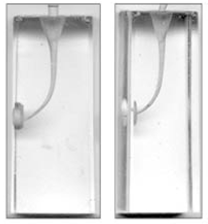 jkacd-32-550-g002.jpg