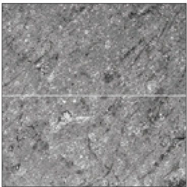jkacd-33-1-g001.jpg
