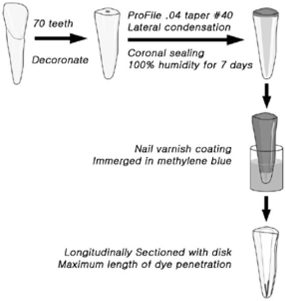 jkacd-33-204-g001.jpg