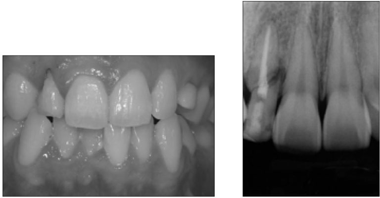 jkacd-33-39-g001.jpg