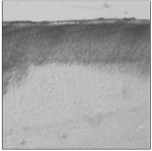 jkacd-33-507-g003.jpg