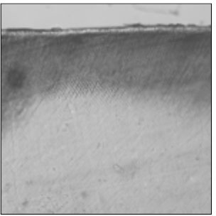 jkacd-33-507-g004.jpg