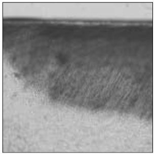 jkacd-33-507-g007.jpg