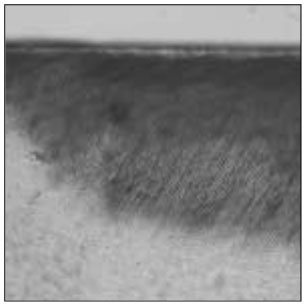 jkacd-33-507-g008.jpg