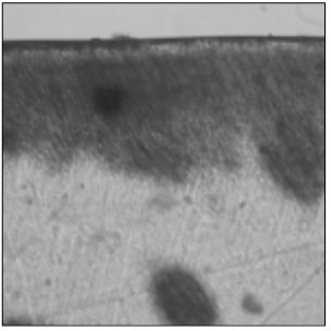 jkacd-33-507-g009.jpg