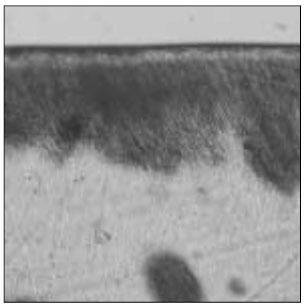 jkacd-33-507-g010.jpg