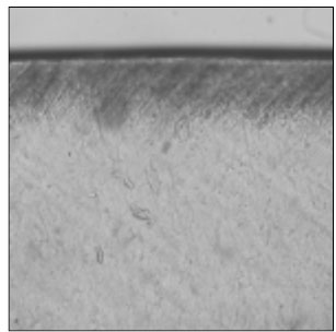 jkacd-33-507-g013.jpg