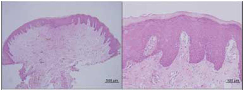 jkacd-34-340-g007.jpg