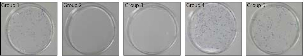 jkacd-34-491-g005.jpg