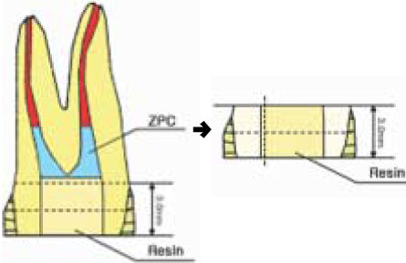jkacd-34-515-g003.jpg