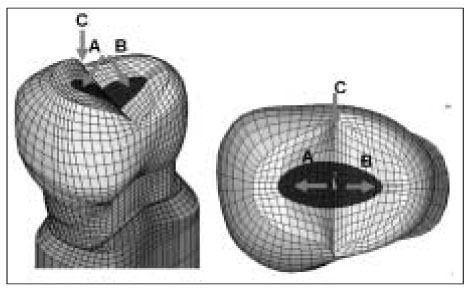 jkacd-34-8-g002.jpg