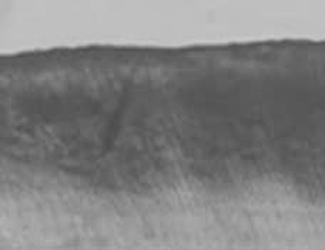 jkacd-35-96-g001.jpg