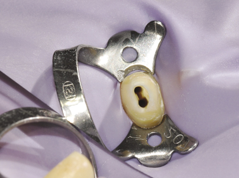 jkacd-36-431-g003.jpg