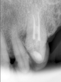 jkacd-36-431-g005.jpg