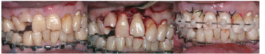 rde-37-110-g005.jpg