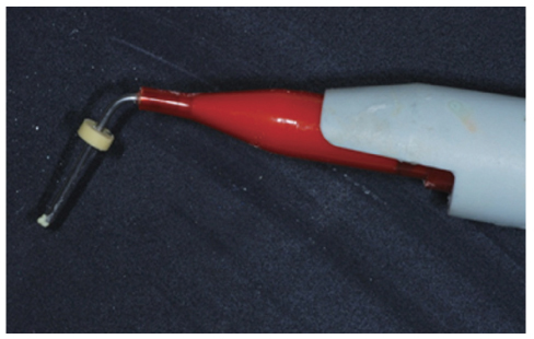 rde-37-119-g003.jpg