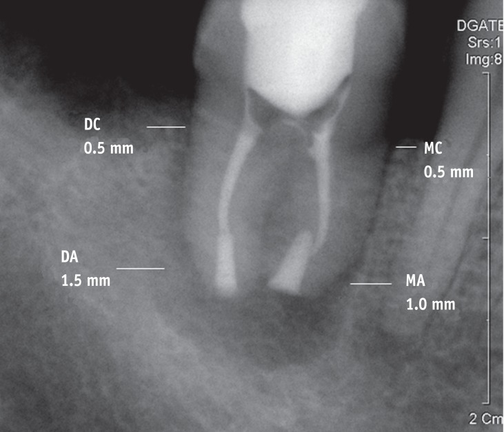 rde-37-136-g004.jpg