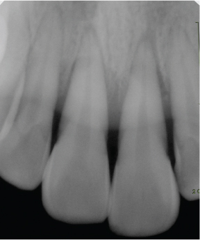 rde-37-61-g001.jpg