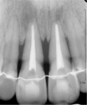 rde-37-61-g004.jpg