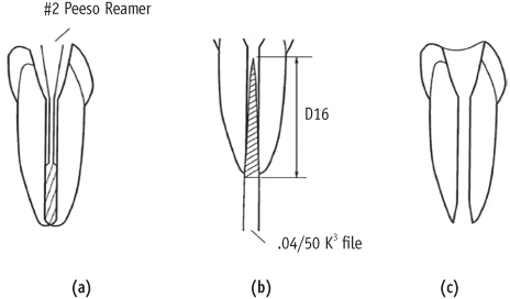 rde-37-68-g001.jpg