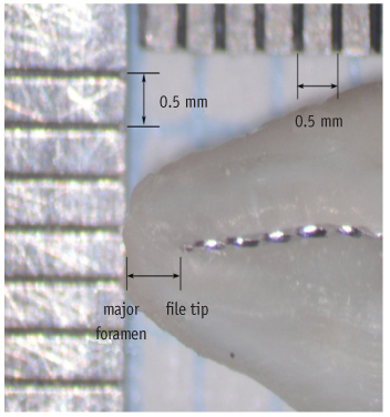rde-37-68-g002.jpg