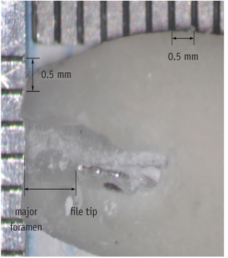 rde-37-68-g003.jpg