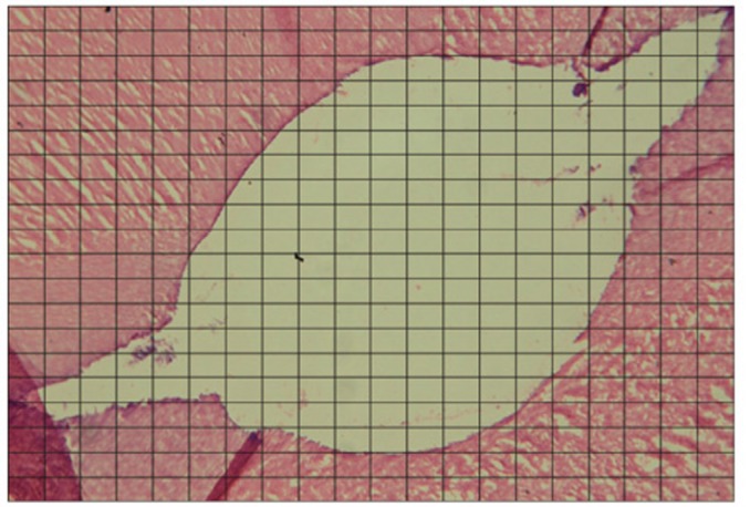 rde-39-104-g001.jpg