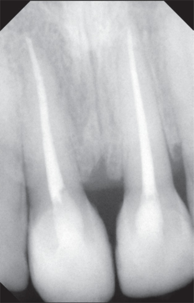rde-40-236-g004.jpg