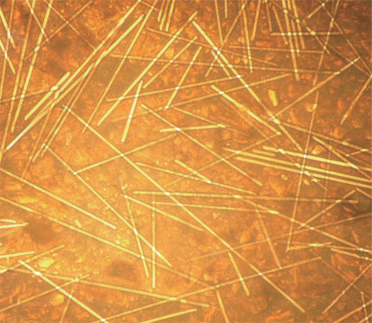 rde-40-262-g004.jpg