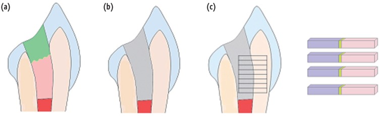 rde-40-37-g001.jpg