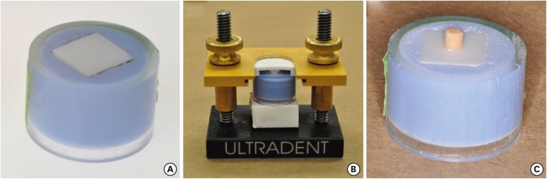 rde-42-206-g001.jpg
