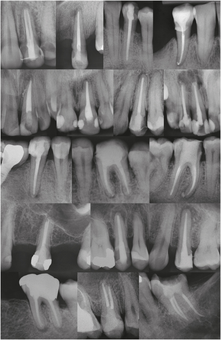 rde-46-e31-g001.jpg